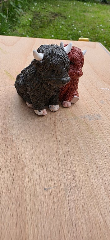 Highland Cow Couple