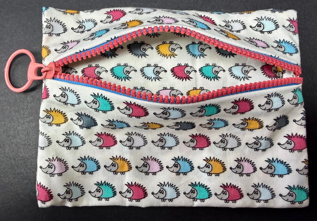 Small funky zipped pouch with tiny colourful hedgehogs