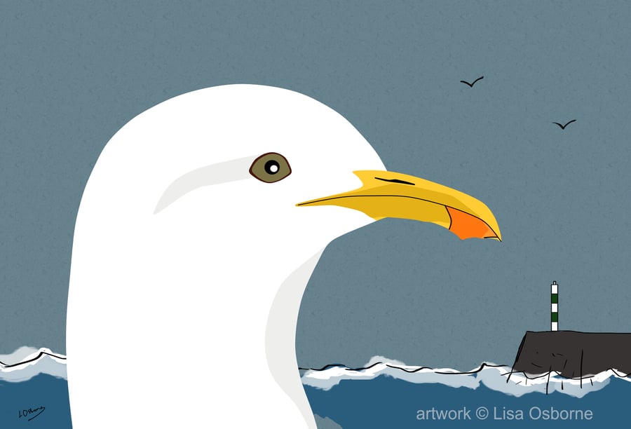 Gull - bird art print - seaside - coastal birds