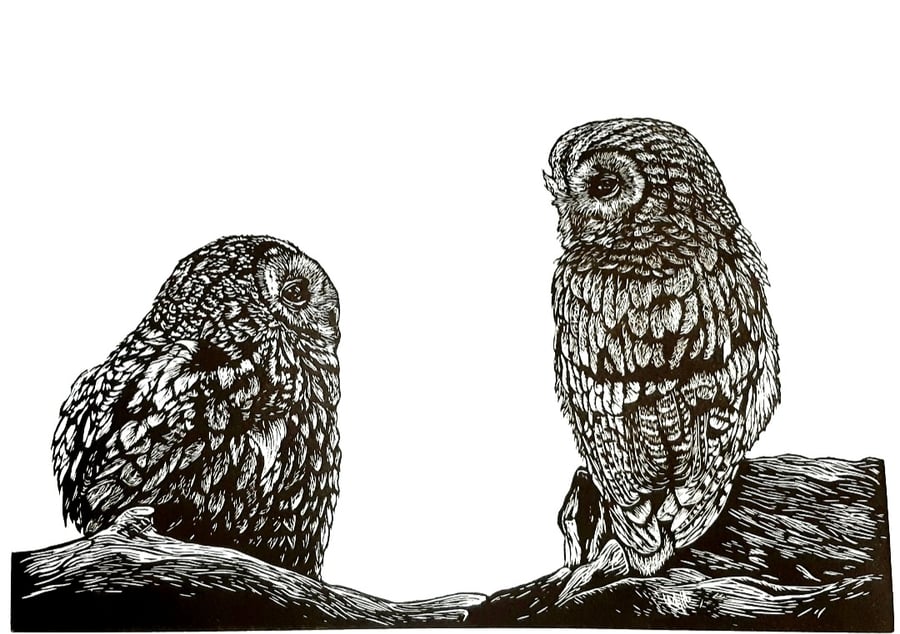 Fledging - a lino print of two fledgling Tawny owls 