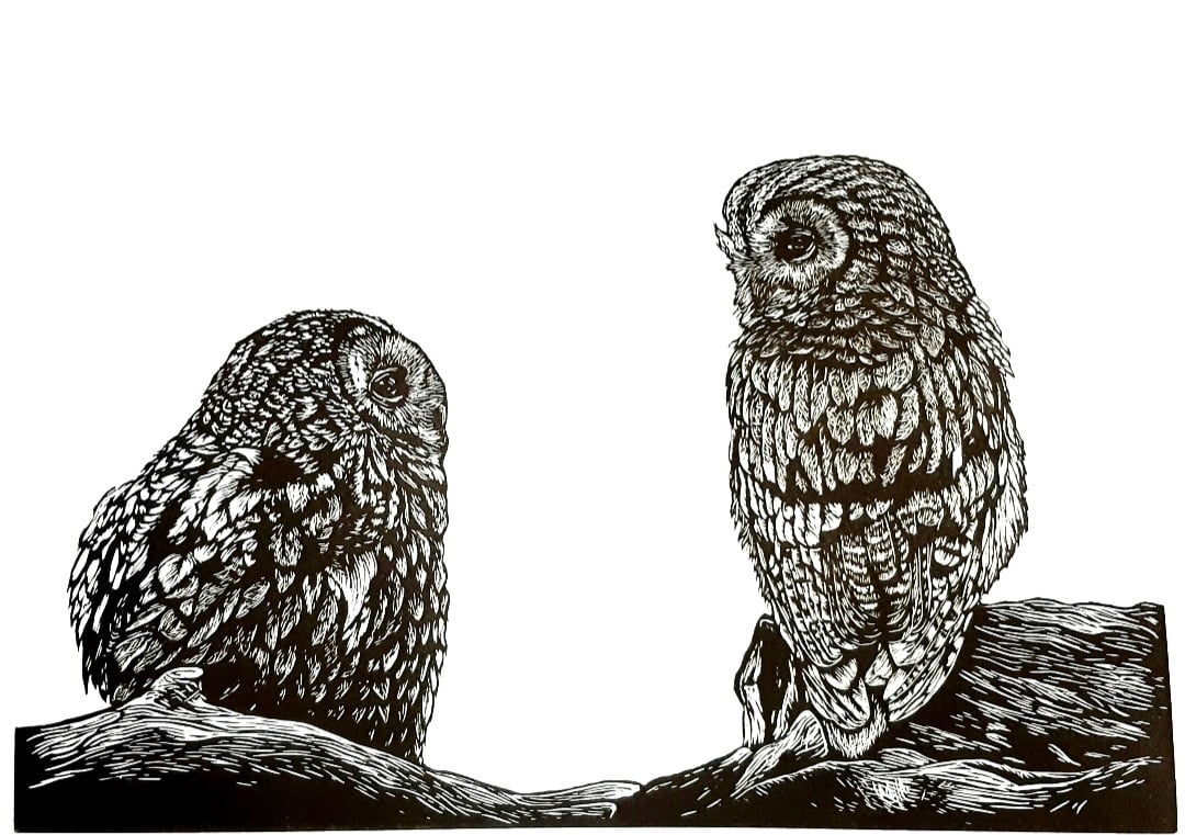 Fledging - a lino print of two fledgling Tawny owls 