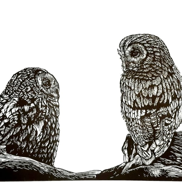 Fledging - a lino print of two fledgling Tawny owls 
