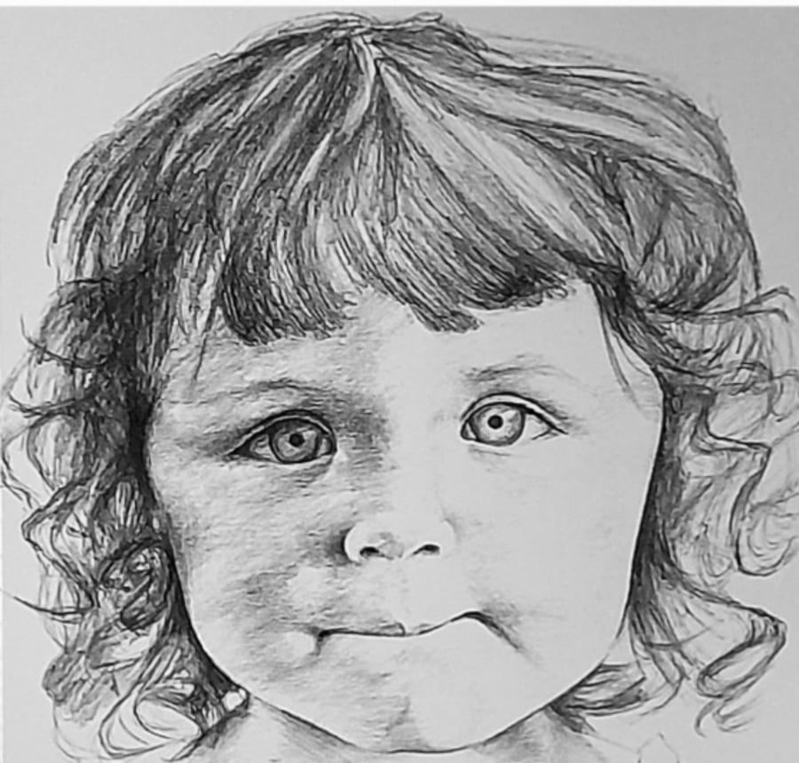 Family Portraits, custom baby portraits, combine photos