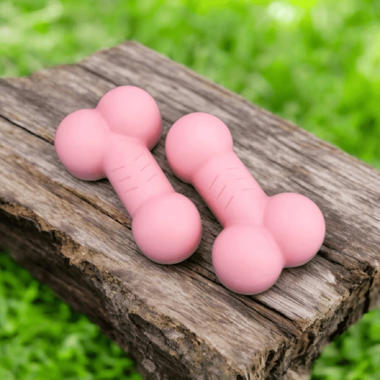 handmade wax melts Fun Rude Adult Humour gift idea  hen partys vegan