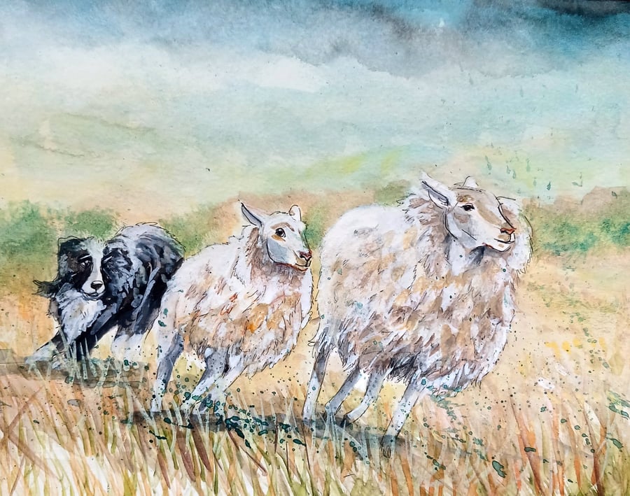 Herding sheep original watercolour A4