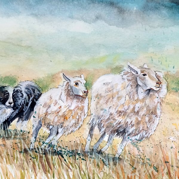 Herding sheep original watercolour A4