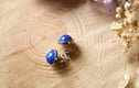 Stud Earrings