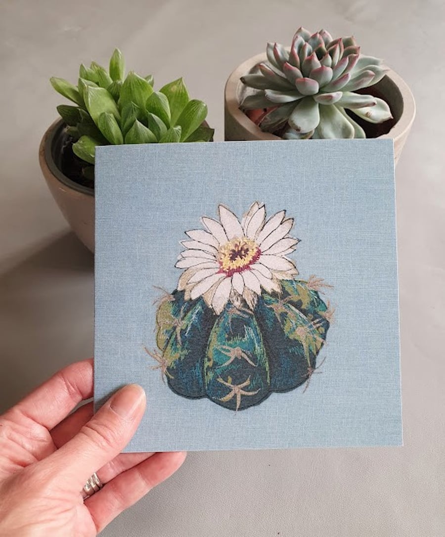 Flowering Cactus card - Gymnocalycium pflanzii, blank card