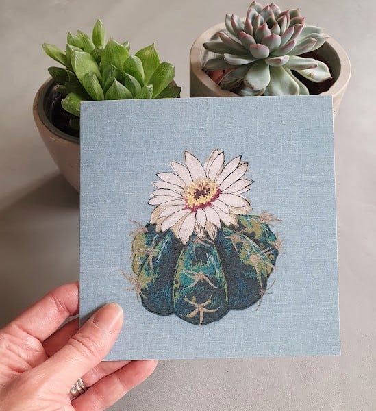 Flowering Cactus card - Gymnocalycium pflanzii, blank card