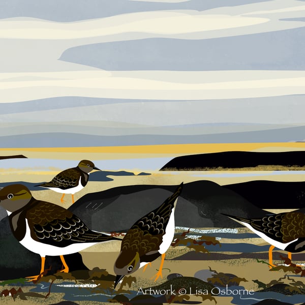 Turnstones - signed print of coastal birds