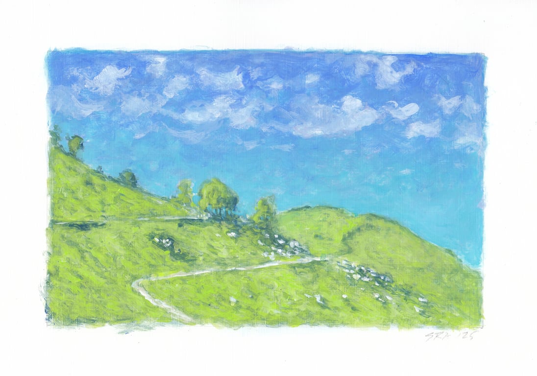 On A Summer's Day, Valley of Rocks, Devon