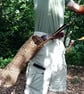 Wicker Arrow Quiver - Traditional-Primitive Archery Gift - Image 7