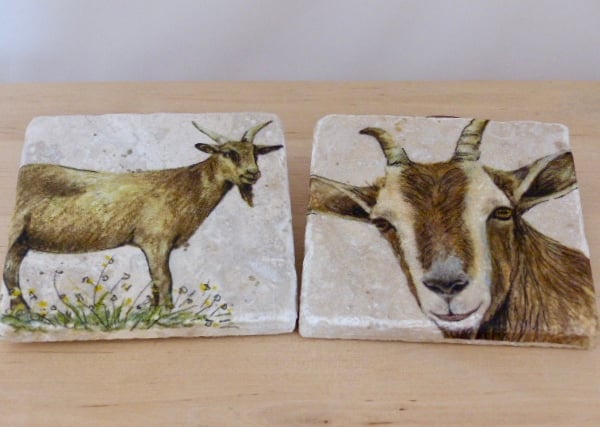 Marble 'Goat' Coasters