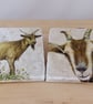 Marble 'Goat' Coasters - Image 1