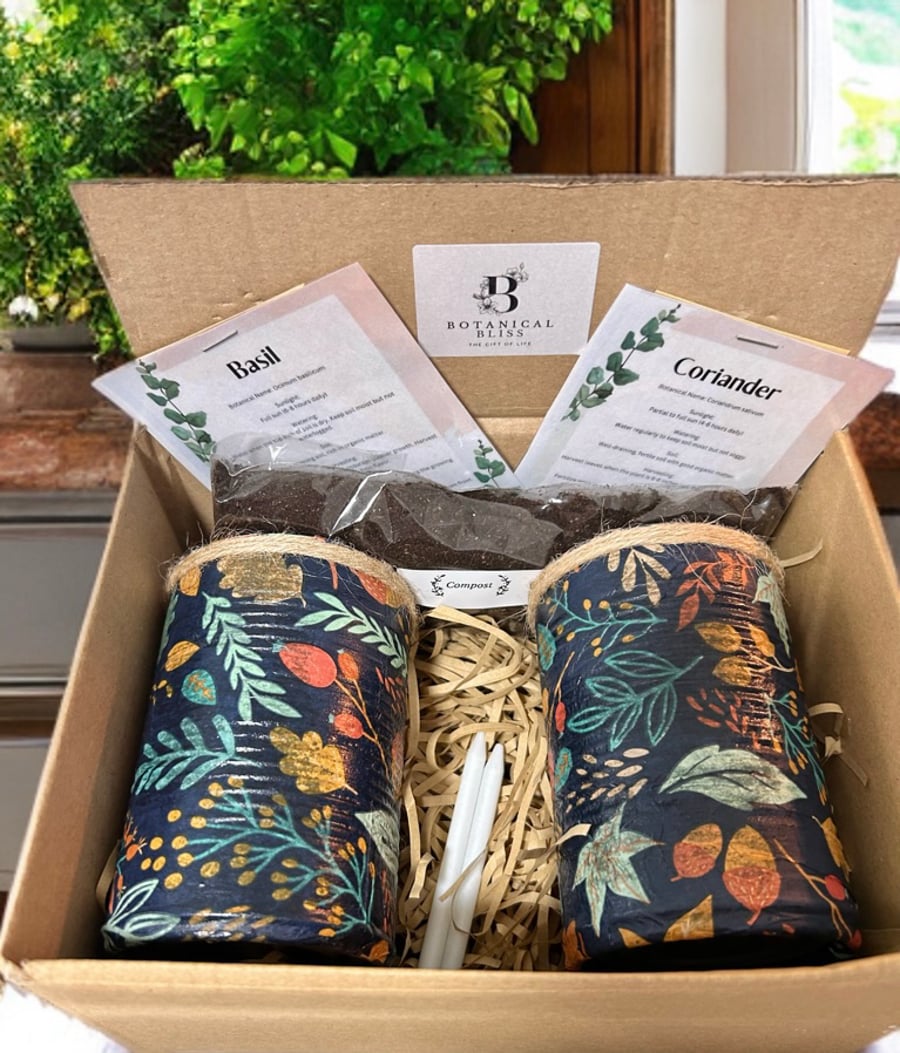 Autumn Navy Leaf Handmade Recycled Eco-Friendly Indoor Kitchen Herb Gift Set