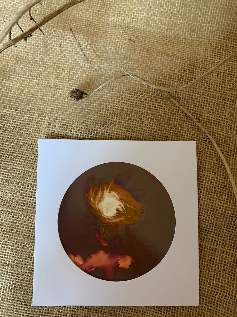 Lumen Print Card no.2