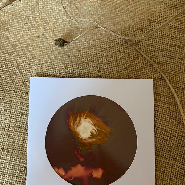 Lumen Print Card no.2