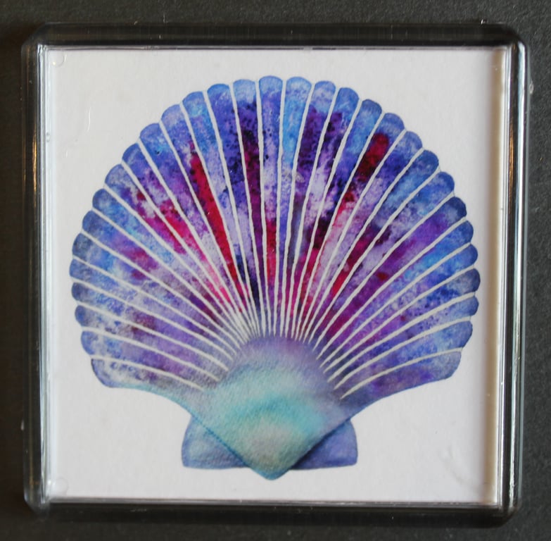 PERFECTLY IMPERFECT Scallop Magnet