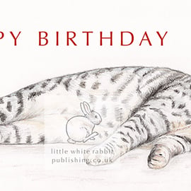 Lottie the Cat - Birthday Card