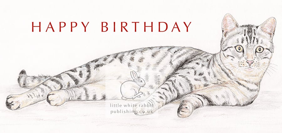 Lottie the Cat - Birthday Card