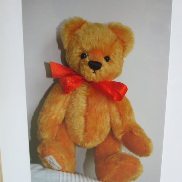 Photographic greetings card of a Teddy Bear.