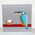King fisher bird, birthday card, blue