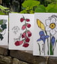 Daffodil & Crocus Greetings Card - Image 4
