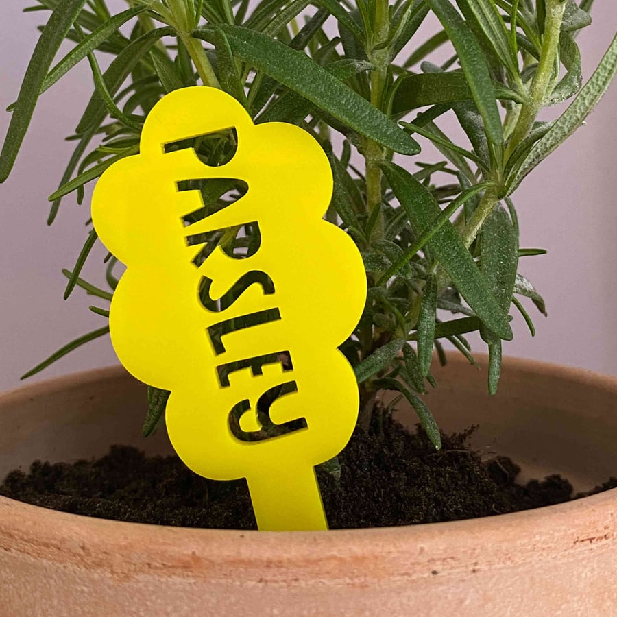 Parsley herb marker stake for indoor gardener, unique gifts for plant lovers