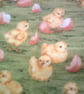 Hatching Chicks Adult Apron - Image 5