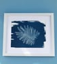 Botanical Art, Mimosa print Cyanotype, art for home, art as a gift. - Image 3