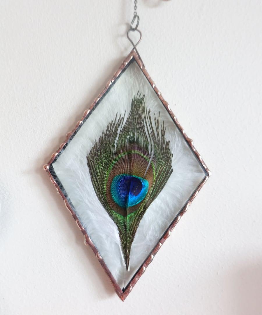 Peacock and White feathers Diamond Bevel Suncatcher with Copper finish