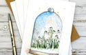 BLANK AND ALL OCCASIONS CARDS