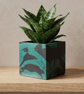 Persian Green and Black 10 cm Square Plant Pot - Marbled Indoor Planter