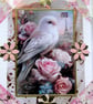 White Dove Bird - Hand Crafted Decoupage Greeting Card - Blank - 3059