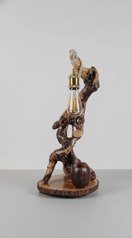 Farmhouse Lighting , Unique Bedside Table Lamp , Rustic Driftwood Duck Lamp 