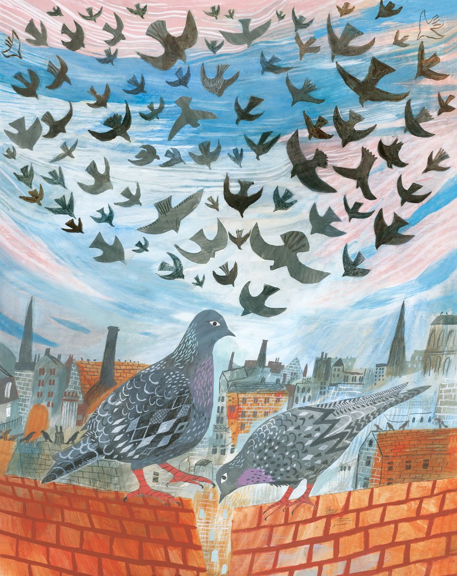 Pigeons on the roof A3 Print