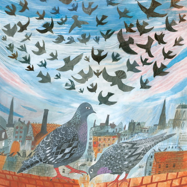 Pigeons on the roof A3 Print