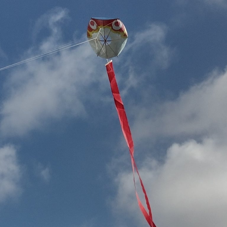 Japanese Fuga (Puffa Fish) - Handmade Kite