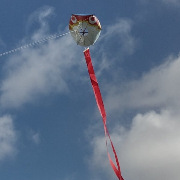 Japanese Fuga (Puffa Fish) - Handmade Kite