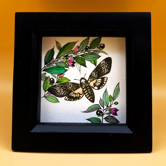 Deaths Head Hawk Moth, tiny original mixed media painting, box framed & signed. 