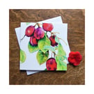 Plums Fruit Botanical Greeting Card or Notecard Fine Art Still Life Watercolour 