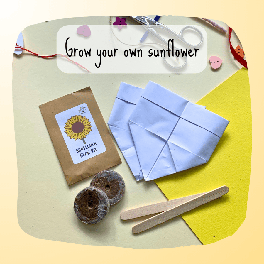 Grow Your Own Sun Flower, Sunflower Grow Kit, Eco Friendly Craft, Gardeners Gift