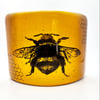 Fused Glass Bee Curve in Autumn Colours, Rich Amber