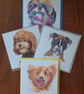 Doggo Collection 