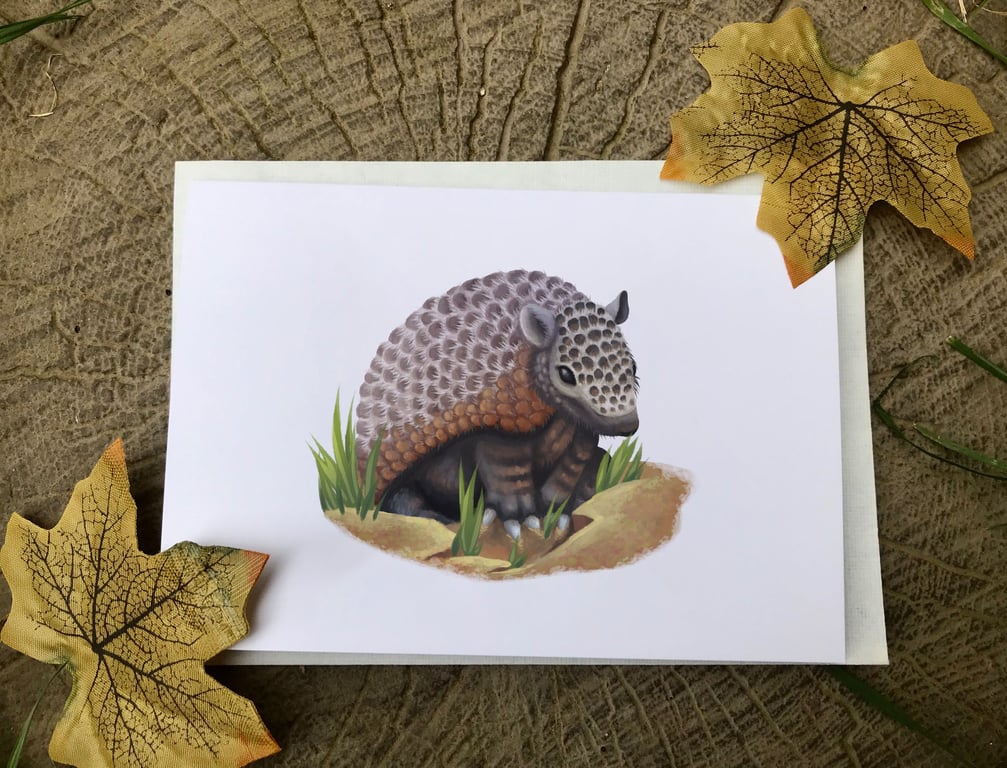 Armadillo Blank Greeting Card