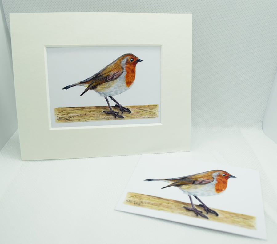 Robin ACEO Giclee Art Print, British Bird ACEO Art Card, Artist Trading Card 