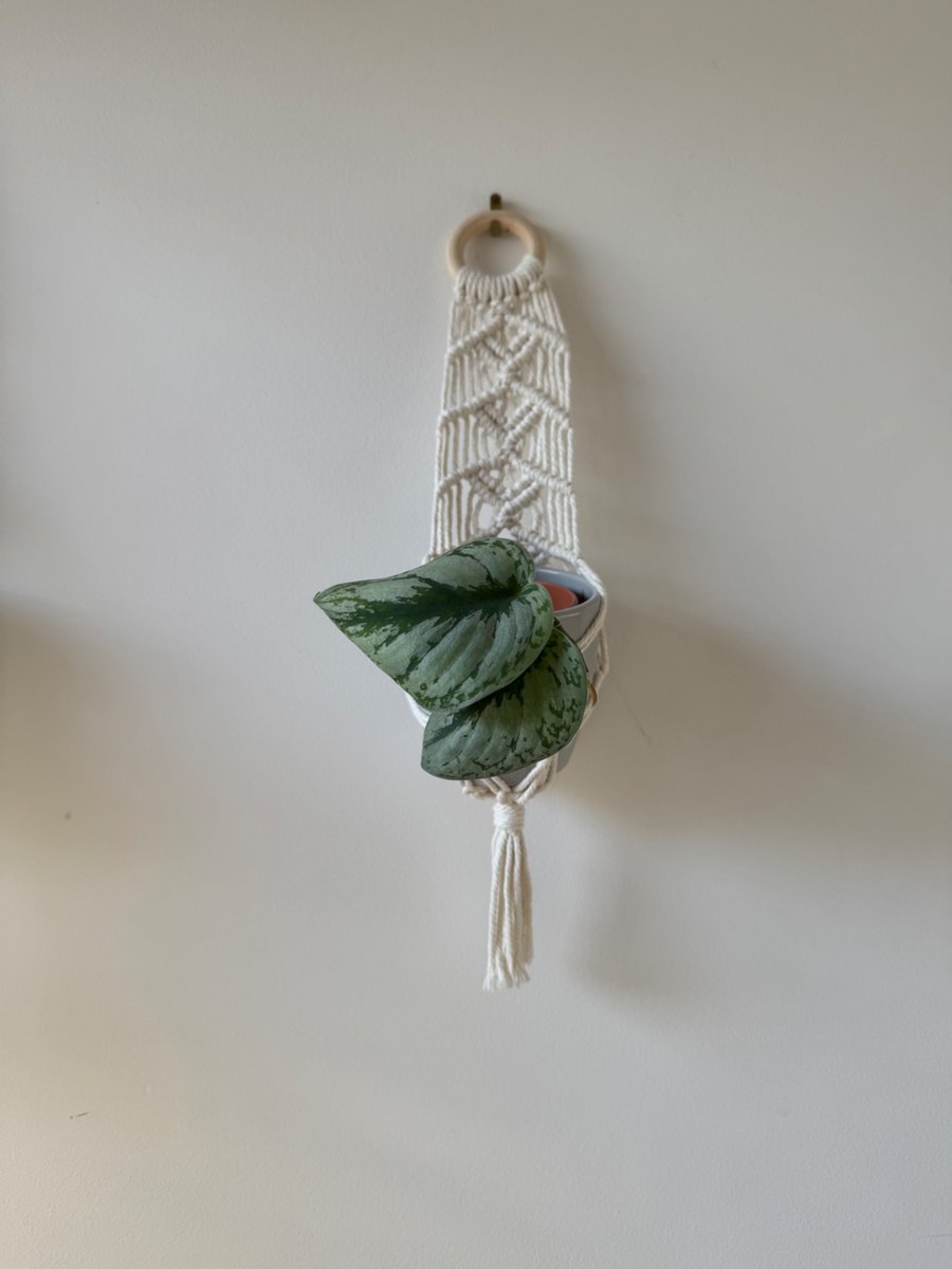 Macrame Hut Plant Hanger