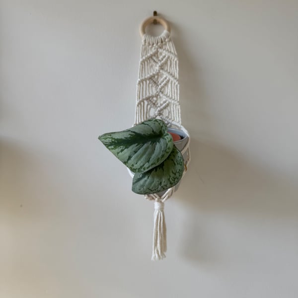 Macrame Hut Plant Hanger