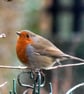 Robin Bird Suncatcher Stained Glass British Handmade  - Image 4