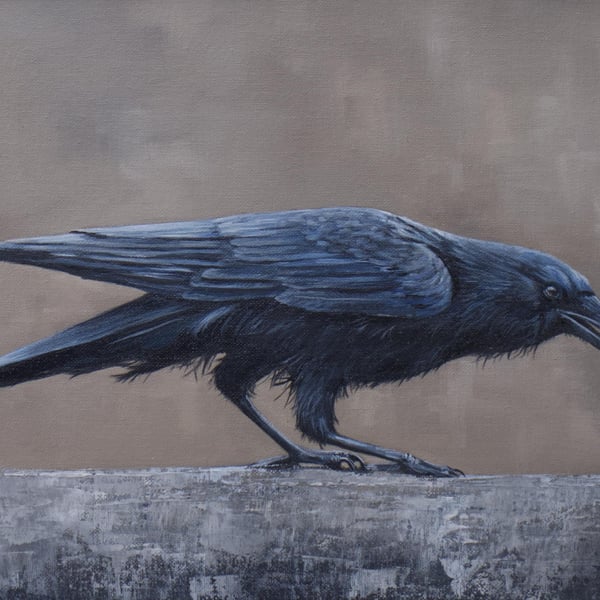 Crow with a Gold Pellet Giclee Print, UK Wildlife Art, Raven Bird, Gothic Nature